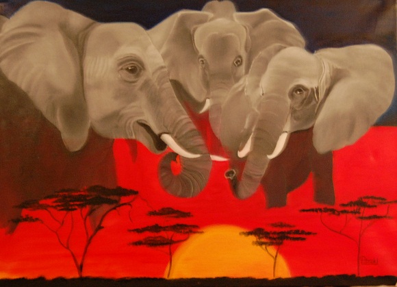 Elephants d'afrique